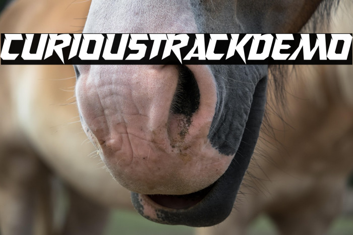 CuriousTrackDemo Example 1