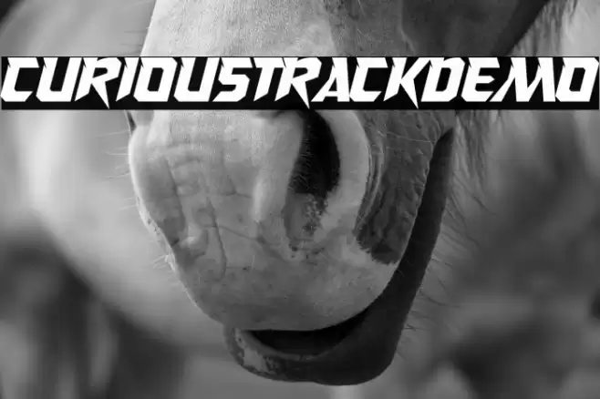 CuriousTrackDemo フォント examples