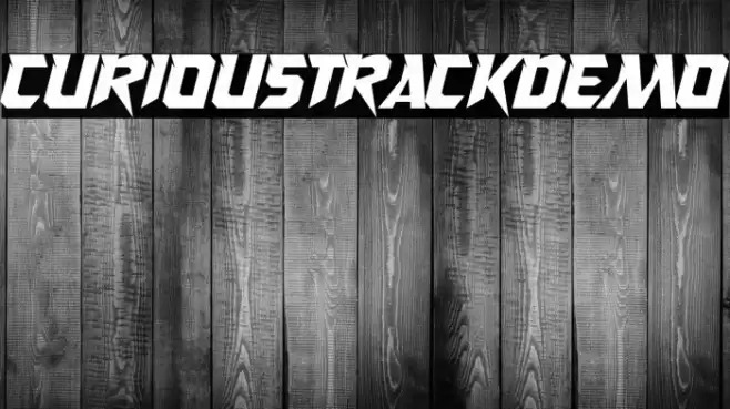 CuriousTrackDemo フォント examples