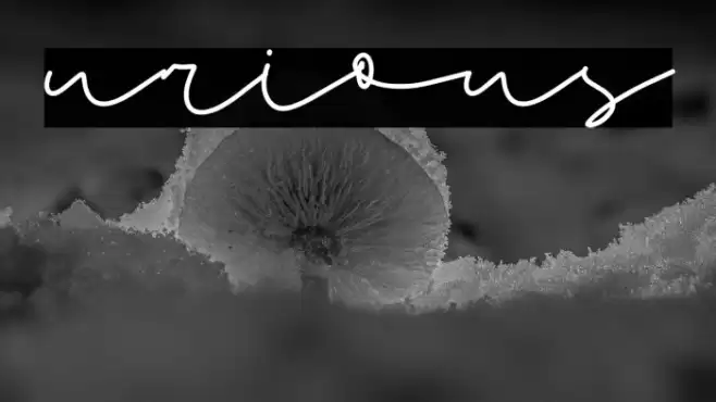 Curious Font examples