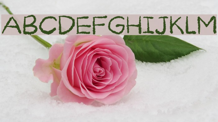 Curiousness DEMO Regular Font examples