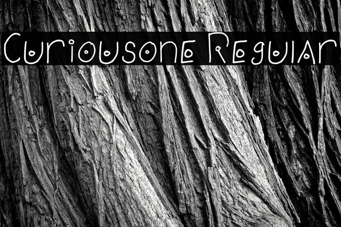 Curiousone Regular Example 1