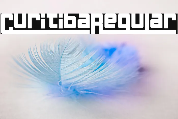 Curitiba Regular Example 3