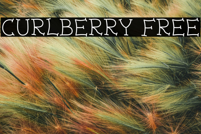 Curlberry Free Example 2