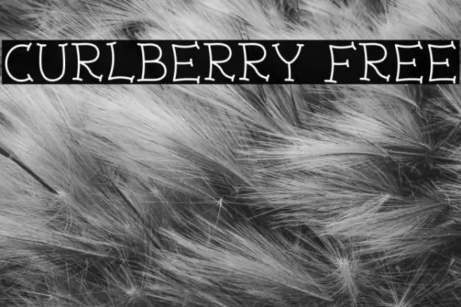 Curlberry Free Font examples