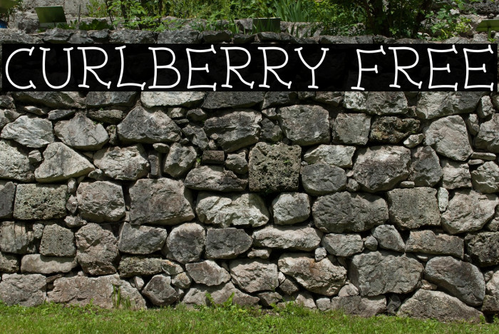 Curlberry Free Example 3