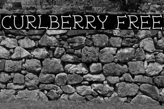 Curlberry Free Font examples