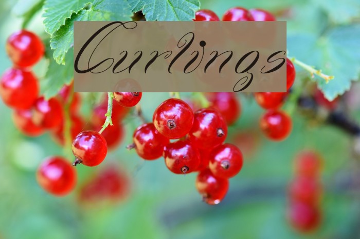 Curlings Font examples
