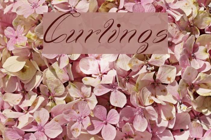 Curlings Font examples