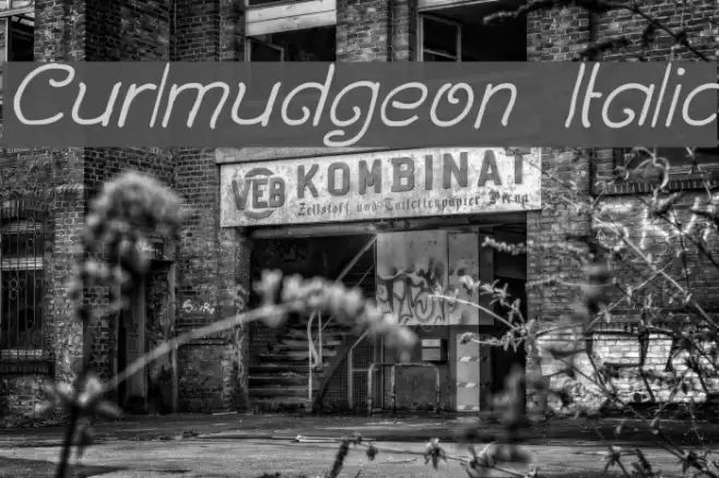 Curlmudgeon Italic Font examples