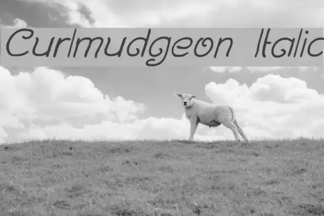 Curlmudgeon Italic Font examples