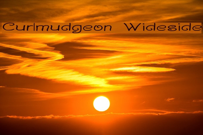 Curlmudgeon Wideside Font examples