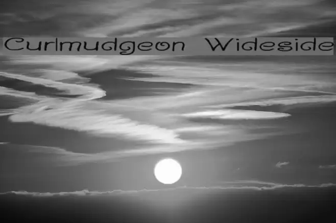 Curlmudgeon Wideside Fuentes examples