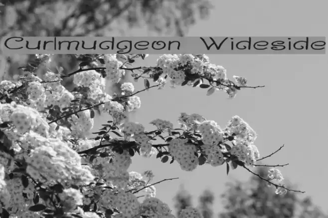Curlmudgeon Wideside Fuentes examples