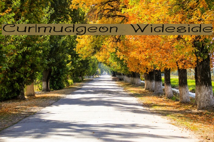 Curlmudgeon Wideside Font examples