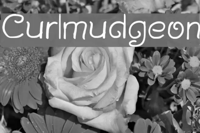 Curlmudgeon Шрифта examples