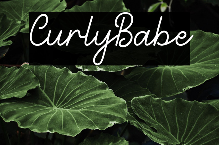 Curly Babe Example 1