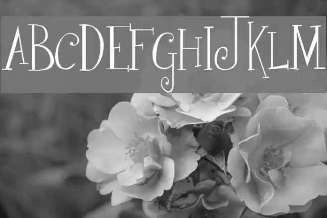 Curly Cue Font examples