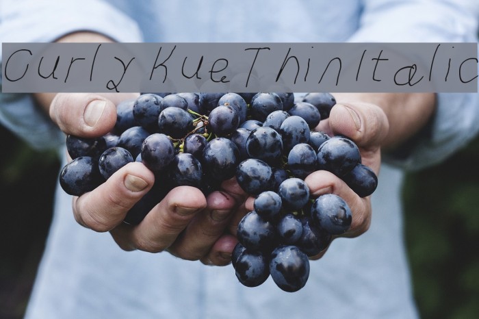 Curly Kue Thin Italic Font examples