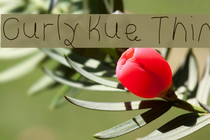 Curly Kue Thin Font examples