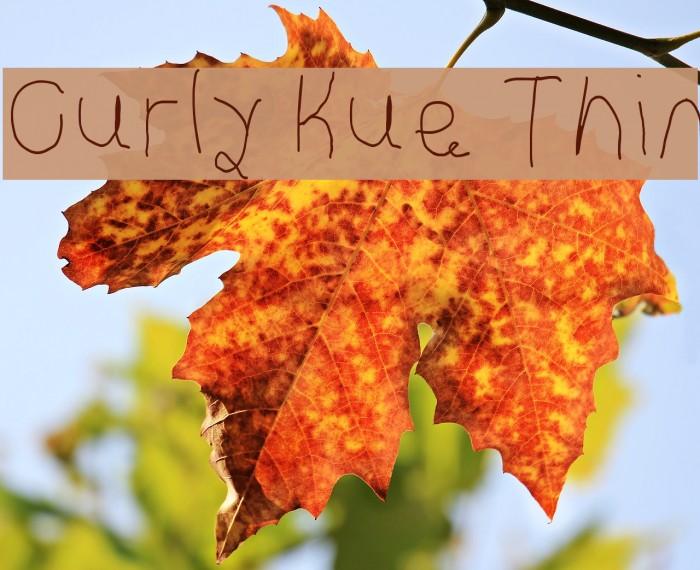 Curly Kue Thin Font examples