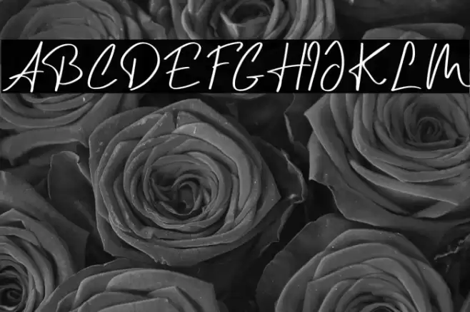 Curly Millie フォント examples