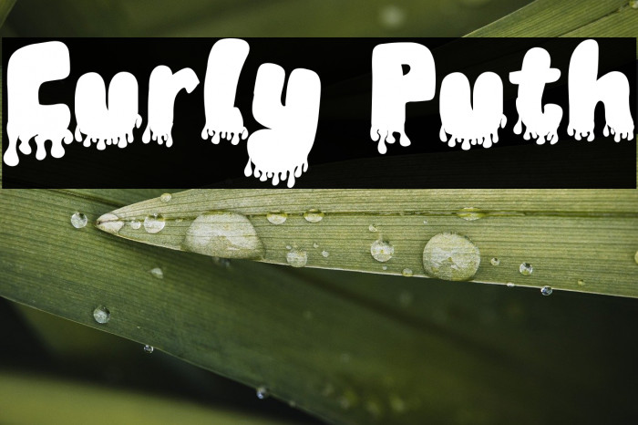 Curly Puth Example 1