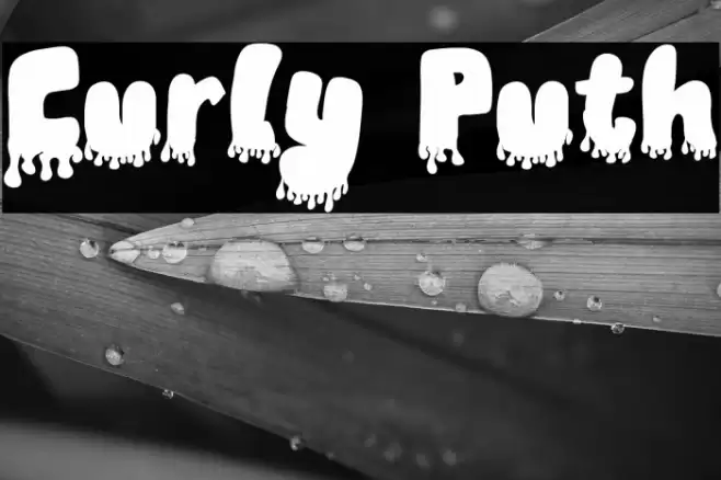 Curly Puth フォント examples