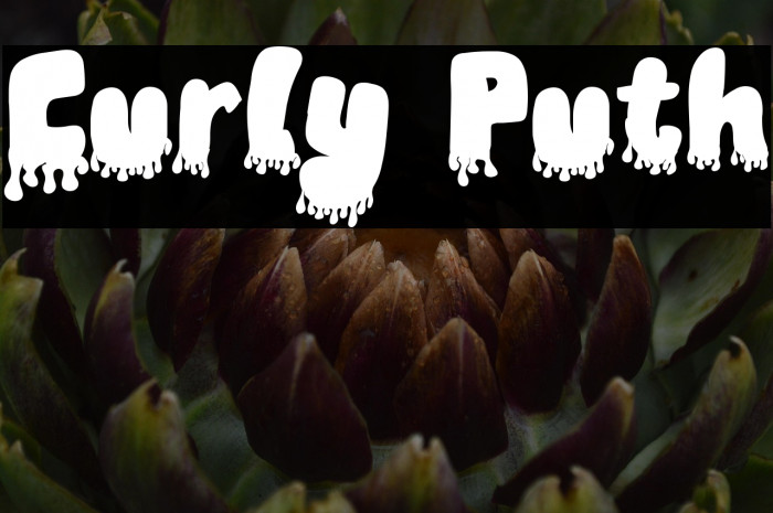 Curly Puth Example 2