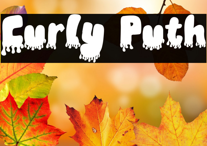 Curly Puth Example 3