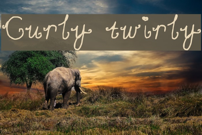 Curly twirly Font examples