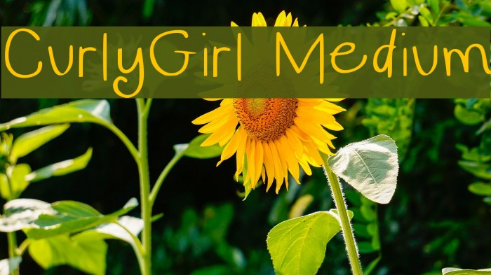 CurlyGirl Medium Font examples