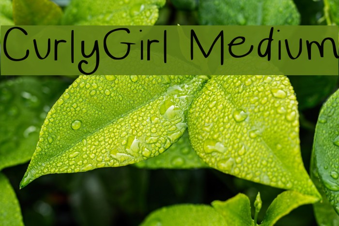 CurlyGirl Medium Font examples