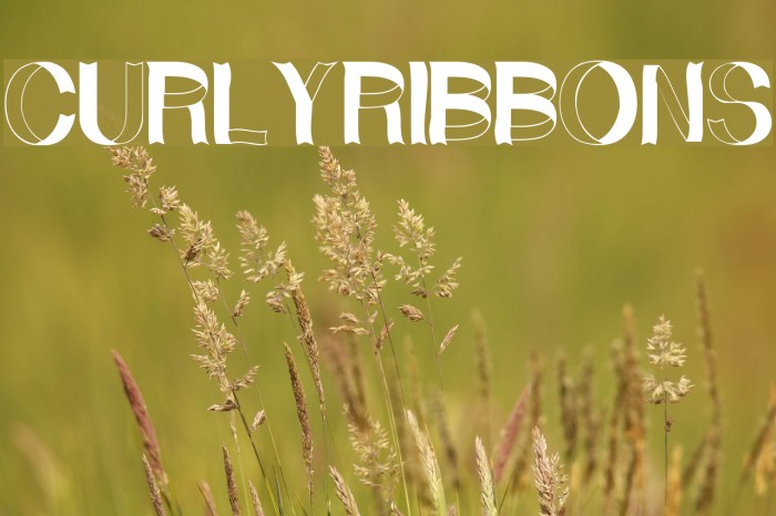 CurlyRibbons Font examples