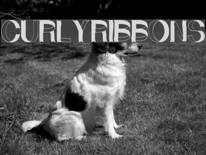 CurlyRibbons Шрифта examples
