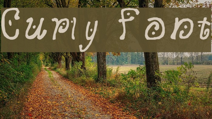 Curly Font examples