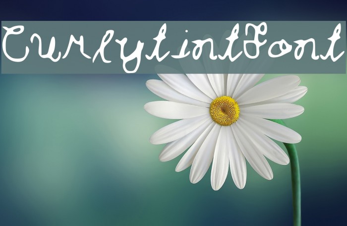 Curlytint_Font Example 2