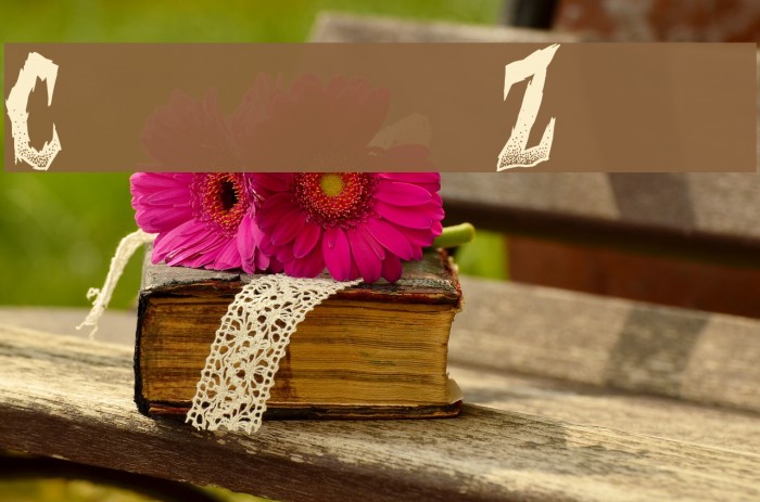 Curse of the Zombie Example 1