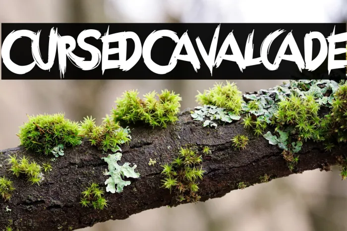 Cursed Cavalcade Example 2