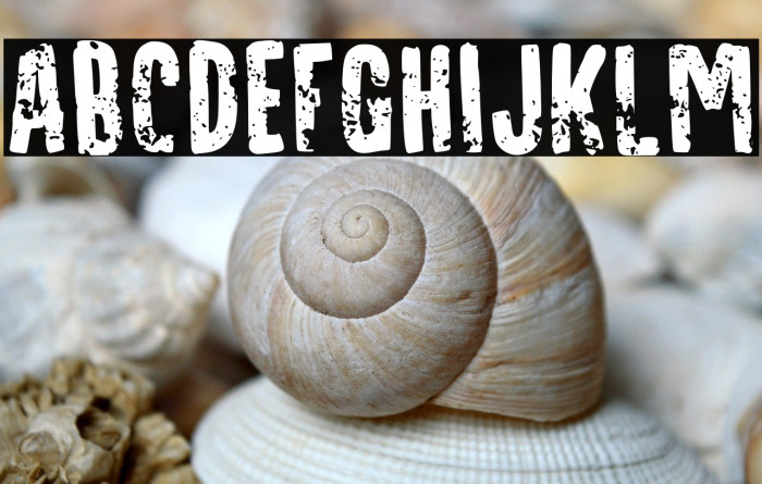 Cursed Stone Personal Use Example 1