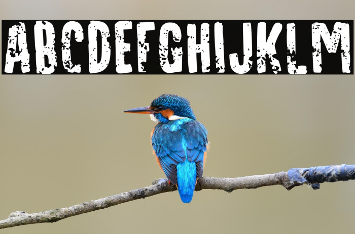 Cursed Stone Personal Use Example 2