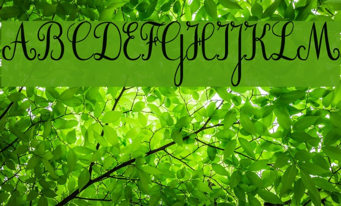 Cursif Font examples