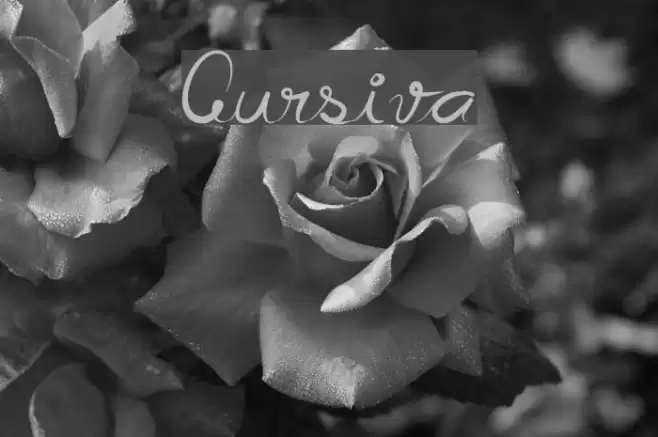 Cursiva Font examples