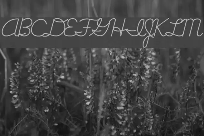 Cursive Handwriting Tryout Schriftart examples