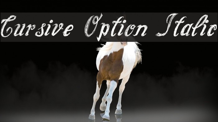 Cursive Option Italic Font examples