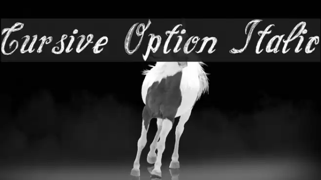 Cursive Option Italic Font examples