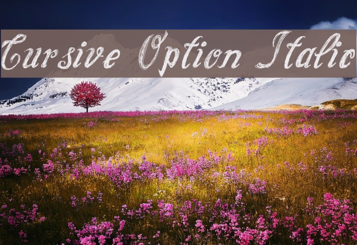 Cursive Option Italic Font examples