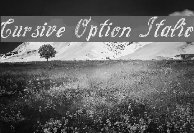 Cursive Option Italic Font examples