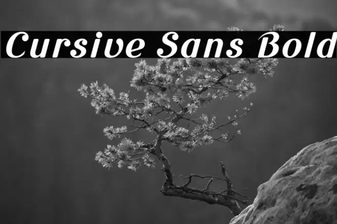 Cursive Sans Bold Font examples