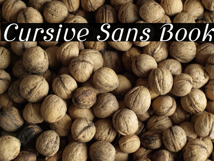 Cursive Sans Book Example 3